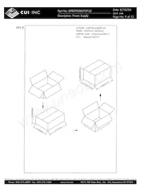 DPR090080-P5P-SZ Datasheet Pagina 9