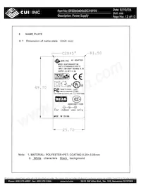 DTS060400UDC-P5P-TK Datasheet Page 12