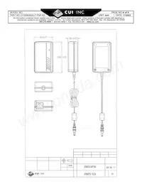 DTS060600UTC-P5P-SZ Datasheet Page 4