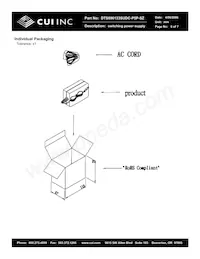 DTS090133SUDC-P5P-SZ Datasheet Page 6