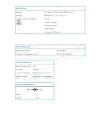 MWA030018A-10A Datasheet Page 3