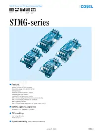 STMGFW304815-N3 Datasheet Cover