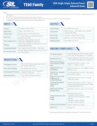 TE60A1603N01 Datasheet Page 2