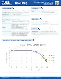 TE60A1603N01 Datasheet Page 3