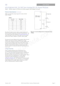 ATL010A0X43-SRZ Datenblatt Seite 13