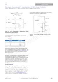 ATM020A0X3-SRZ Datasheet Pagina 13