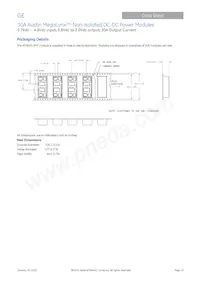 ATM030A0X3-SRPHZ Datasheet Pagina 19