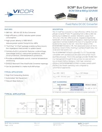 BCM384T480T325A00 Datenblatt Cover