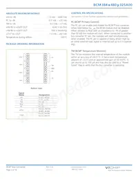 BCM384T480T325A00 Datasheet Pagina 2
