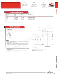 BK60C-048L-025F40H Datasheet Pagina 2