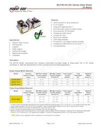 BLP30-3000G 데이터 시트 표지