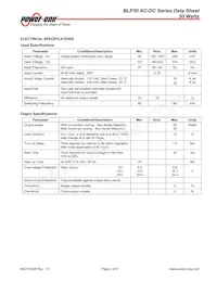 BLP30-3000G Datasheet Page 2