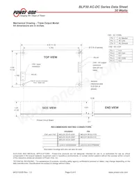 BLP30-3000G Datasheet Page 6