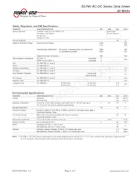 BLP40-3000G Datasheet Page 3