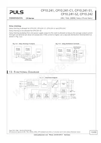 CP10.241-S1 Datasheet Page 13