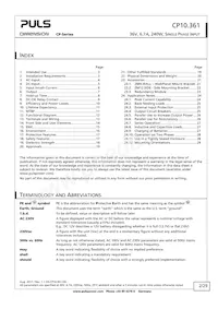 CP10.361 Datasheet Page 2