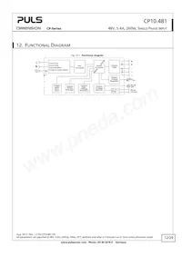 CP10.481 Datasheet Page 12