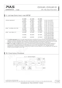 CS10.241-S1 Datasheet Page 11
