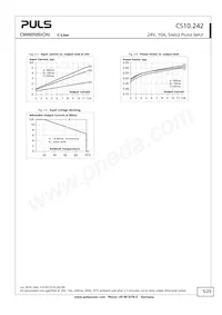 CS10.242 Datenblatt Seite 5