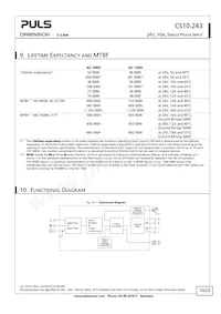 CS10.243 Datasheet Page 10