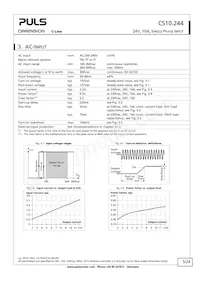 CS10.244 Datasheet Page 5