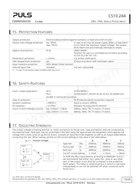 CS10.244 Datasheet Page 15