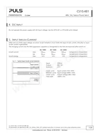 CS10.481 Datasheet Page 7