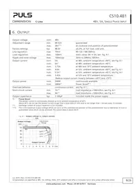 CS10.481 Datasheet Page 8