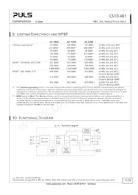 CS10.481 Datasheet Page 11