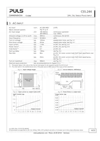 CS5.244 Datasheet Page 4