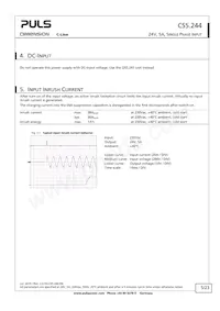 CS5.244 Datasheet Page 5