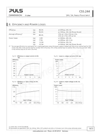 CS5.244 Datasheet Page 8