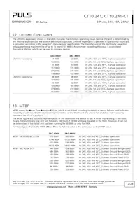 CT10.241-C1 Datasheet Page 12