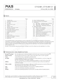 CT10.481 Datasheet Page 2