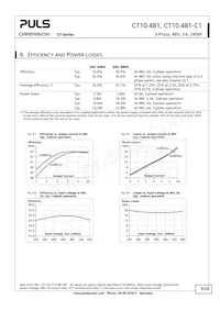 CT10.481 Datasheet Page 9