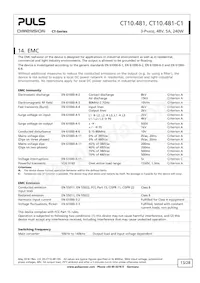 CT10.481 Datasheet Page 13