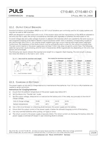 CT10.481 Datasheet Page 23