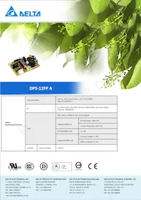 DPS-12FP A Datasheet Page 2