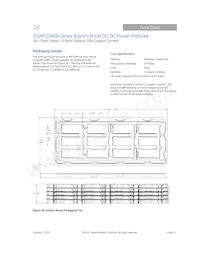 EVW010A0B641Z Datasheet Page 21