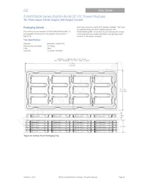EVW020A0A41-SZ Datasheet Page 18