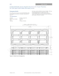 EVW020A0S6R041Z Datasheet Pagina 18