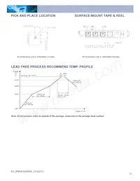 IPM04C0A0R06FA Datasheet Page 13