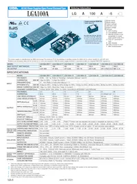 LGA240A-24-HSTY Datasheet Page 6