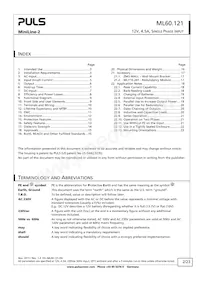 ML60.121 Datasheet Page 2