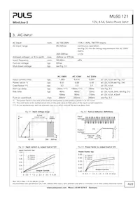ML60.121 Datasheet Page 4