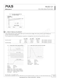 ML60.121 Datasheet Page 5