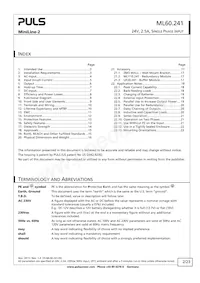 ML60.241 Datasheet Page 2