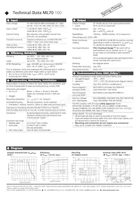 ML70.100 Datasheet Page 2
