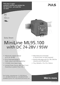 ML95.100 Datasheet Cover