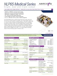 NLP65-9929 Datasheet Copertura